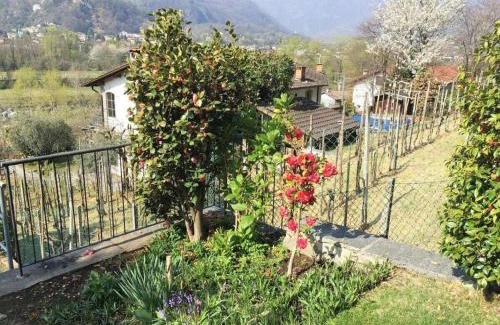 Locarno House | 1-bedroom apartment