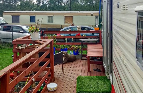 Szemud House | 1 bedroom gorgeous home in Kamien