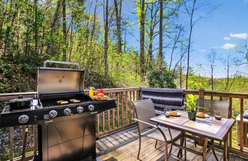 Skyland House | 10 Min To Dt, 15 Min To Biltmore, Fire Pit, View