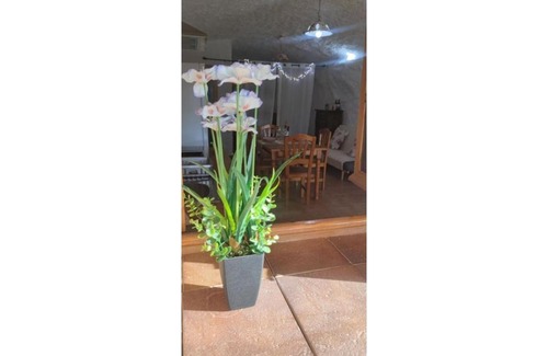 El Partidor House | 11 - Casa Cueva 1 habitación