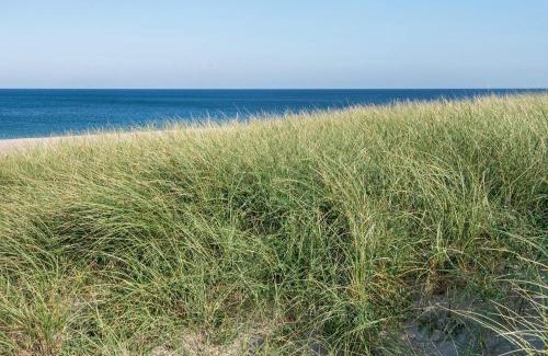 Vrist Strand House | 12 person holiday home in Harboøre-By Traum
