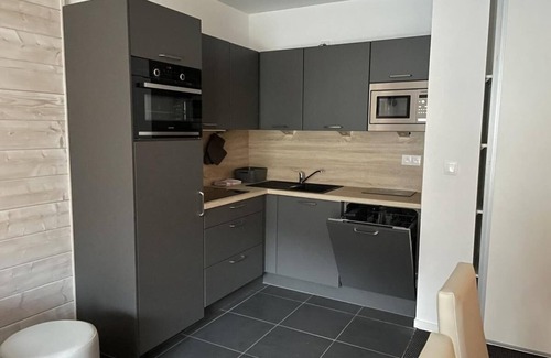 Eaux-Bonnes Apartment | 150m from ski slopes, 5th floor, view mountain, swimming pool, terrace, tv, ski locker, 58m²