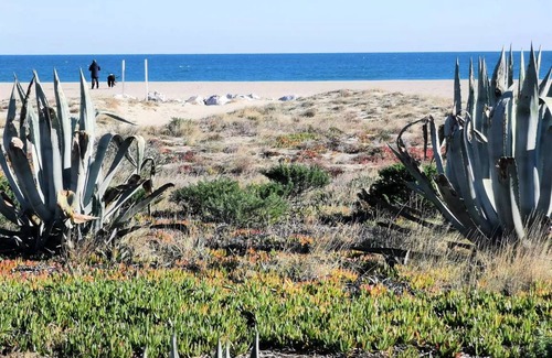 Port Leucate Apartment | 19 m² Studio flat ∙ 1 bedroom ∙ 3 guests