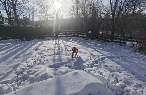 gmina Krasne Apartment | 1Bed Apartment - Sleeps 4 - Terrace Parking Pets