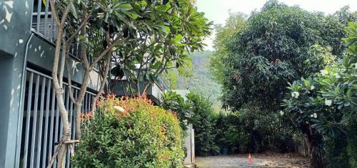 Mu Si House | 1st House of Happiness at Khao Yai 1-4 bed open 1 bedroom for each 2 adults