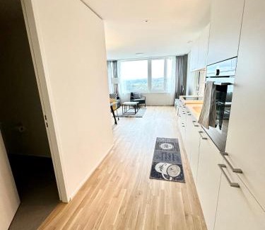 Neuhausen am Rheinfall Apartment | 2.5 Room@MydiHei Apartments