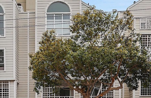 Fillmore District Apartment | 2-bed/2-bath condo next to Jefferson Square Park, close to many city attractions