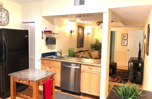 Downtown Dunedin Apartment | 2 Bedroom Apt Overlooking Dunedin Town Square