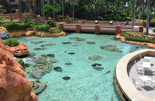 Paradise Island Resort | 2 Bedroom Deluxe - Harborside Resort at Atlantis - Full Resort Access