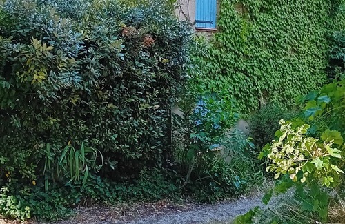 Sigonce House | 2-bedroom Provencal country house with mezzanine, garden and swimming pool