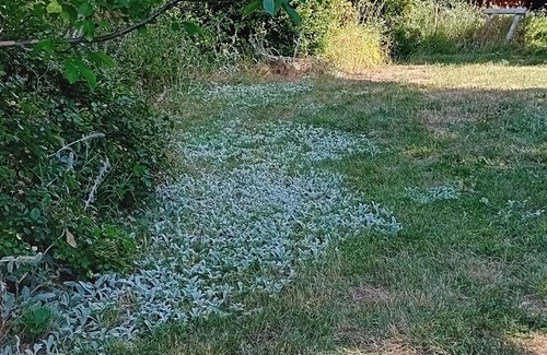 Sigonce House | 2-bedroom Provencal country house with mezzanine, garden and swimming pool