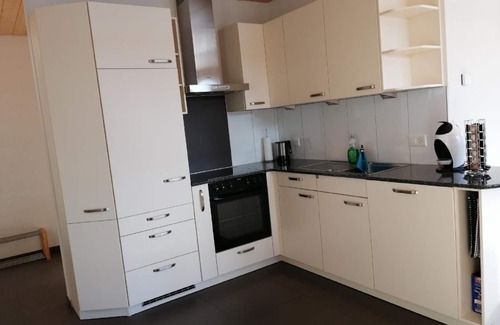 Wiler Apartment | 2 Bedrooms Apartment “Alleschwendi”