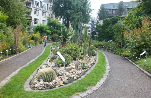 Jewish Quarter Apartment | 2 Family Studios Close to the Museum Aan de Stroom! Covered Parking & Gym!