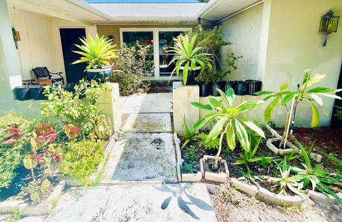 Tarpon Springs House | 2 King bed house with private POOL
