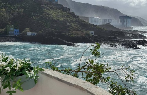 Tacoronte Apartment | 2 Manolo Pris Studio Private Terrace