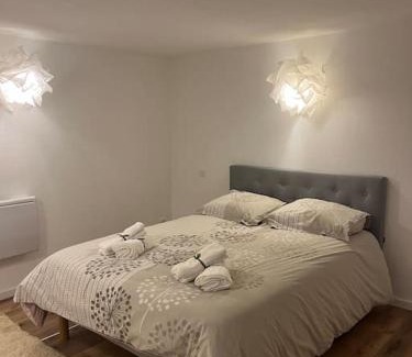 Plaine des Bouchers Apartment | 2 pièces moderne et cosy à Strasbourg