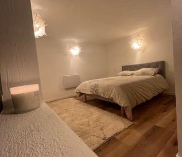 Plaine des Bouchers Apartment | 2 pièces moderne et cosy à Strasbourg