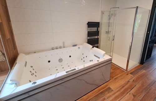 Poincare - Foch - Anatole France - Croix de Bourgogne Apartment | 2 pièces, SPA et terrasse, Nancy Thermal