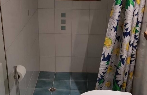 Pfaffikon District Other | 2-room studio hinderi Rossweid