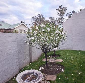 Clarens Apartment | 2 The Mews - easy walk to town and the CVC