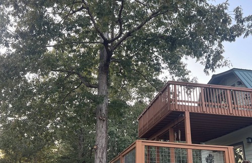 Shelby House | 270 degree lake views from this 4-bedroom waterfront home on Lay Lake