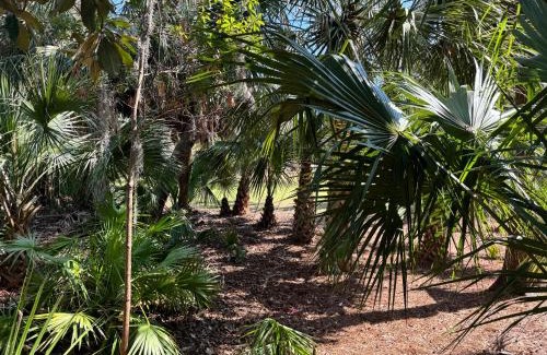 Night Heron House | 28 Night Heron - Two bedroom, two bath, pet friendly, 5 min walk to beach and pool