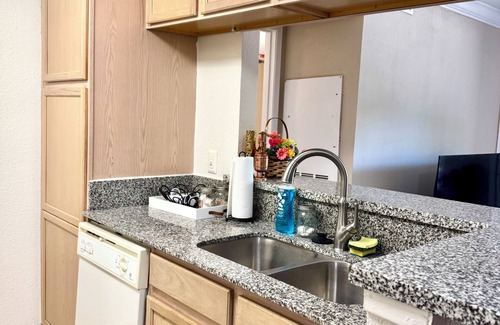 Texas Medical Center Apartment | 2BDR, KgBd, Poo NRG Med DT Zoo UH