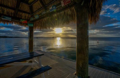 Key Largo Apartment | 2BR in Key largo w pool and sunset views