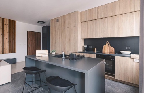Poznan City Center Apartment | 2Homerent | Perfect location | Center | Garage