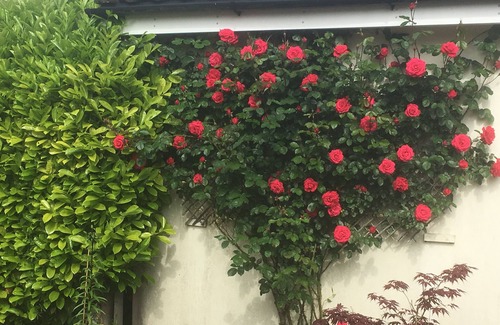 East Dereham House | 3 Bedroom historic house in Norfolk