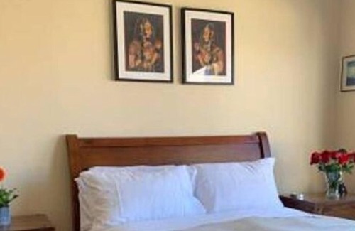 Cow Hollow Apartment | 3 Bedroom Single family L-560425 by Houzlet