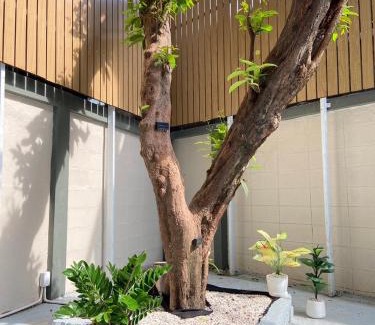 Ekkamai House | 3 Brothers House Ekkamai