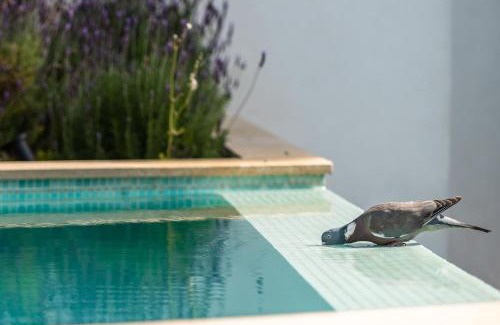 Costa de la Calma Villa | 3009 - Luxurious new villa in quiet area in Costa de la Calma