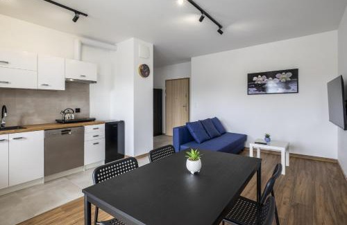 Pogorze Apartment | 34 Apart
