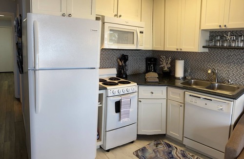 Hilton Head Island Villa | 371 Sea Side Stunning Direct Oceanfront Views - Perfect SnowBirder Location