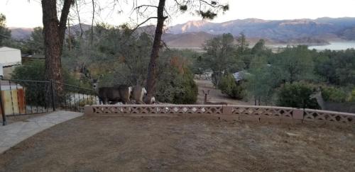 Wofford Heights House | 3BR Panoramic Lake View, Sequoia Forest, Kern County