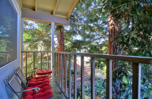 La Riviera House | 4 Bed 2.5 Bath House with Pool & Hot Tub One Block from American River