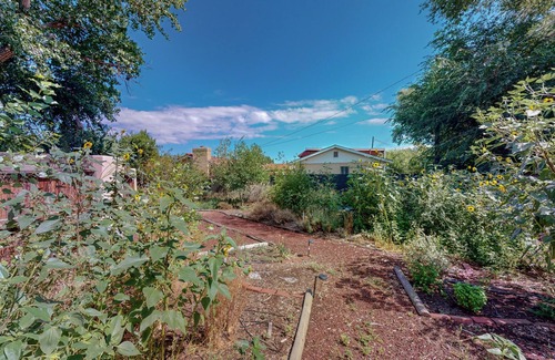 Albuquerque House | 4 Bed 3 Full Bath Urban Jungle Home in North Valley with Hot Tub & Wi-Fi
