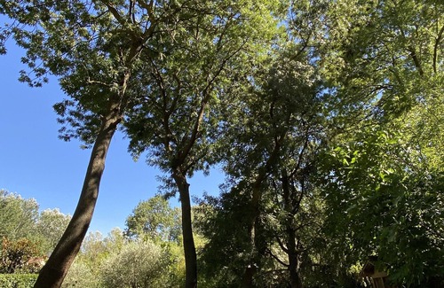 Les Angles House | 4-bedroom house, 5min from Avignon center