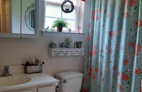 Groveland House | 4 bedroom house near Disney, beaches and state parks. Handicap accessible.