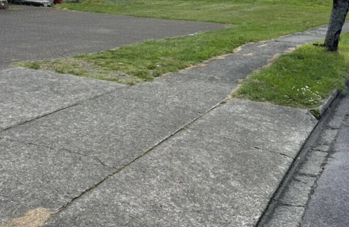 Kawaha Point House | 4 Beds Including 2 Double Beds, 1 Single Bed, 1 Double Sofa Bed, Studio, 6 Chapman Place, Rotorua