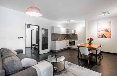 Karlin Apartment | 4-room apartment near the park Vitkov