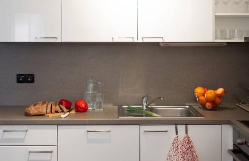Karlin Apartment | 4-room apartment near the park Vitkov