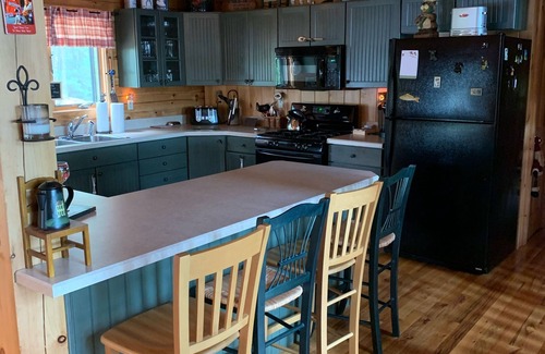 Pine River Pond House | 4 Season Cozy log Cabin/Lake/fire pit/game room/