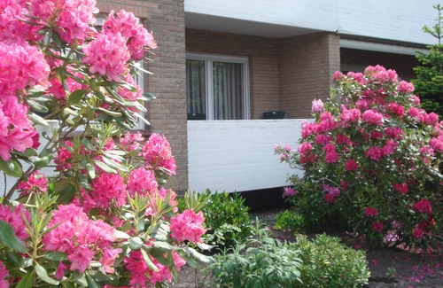 Bad Zwischenahn Apartment | 4-star apartment near the center - bicycles free of charge