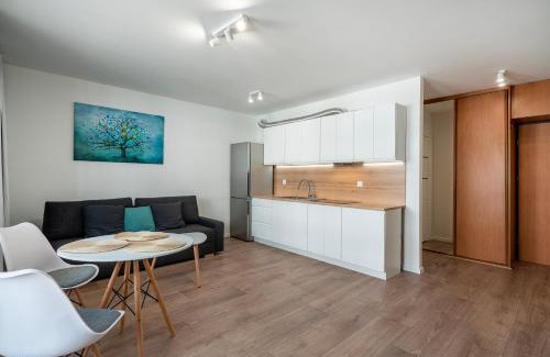 Witomino Apartment | 41 Apart