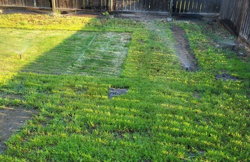 Fresno House | 420 friendly. And quiet