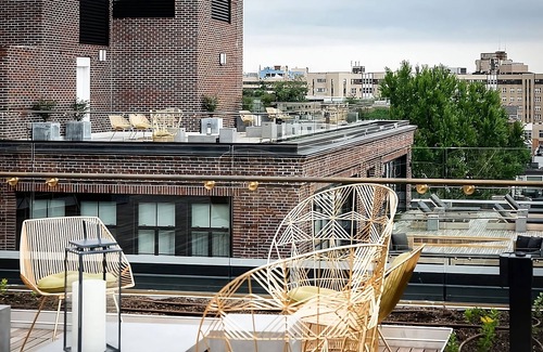 Adams Morgan Hotel | 4x District Double Queen at The LINE Hotel Washington DC, Bring Your Pets!