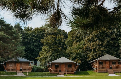 Zeewolde Cottage | 5-person safari tent lodge