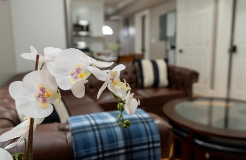 Codman Square Apartment | 558-1 3BR Boston - Modern Nest near Franklin Park